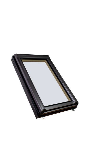Roto Designo R79 H200 (дерево) 2-камерне 808929 фото